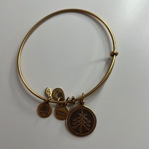 alex and ani bracelet